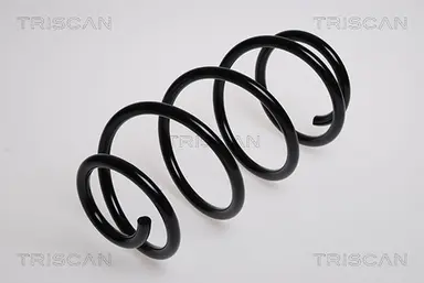 MUELLE DE SUSPENSIÓN