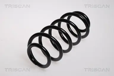 MUELLE DE SUSPENSIÓN