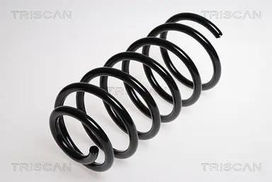 MUELLE DE SUSPENSIÓN