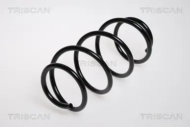 MUELLE DE SUSPENSIÓN