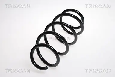 MUELLE DE SUSPENSIÓN