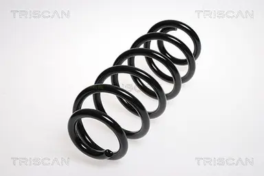 MUELLE DE SUSPENSIÓN