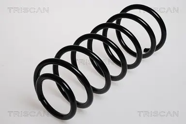 MUELLE DE SUSPENSIÓN