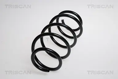 MUELLE DE SUSPENSIÓN