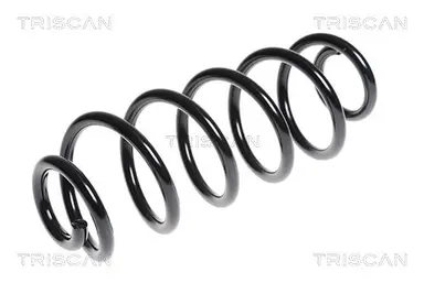 MUELLE DE SUSPENSIÓN