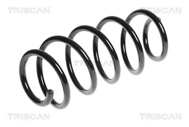 MUELLE DE SUSPENSIÓN