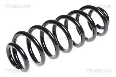 MUELLE DE SUSPENSIÓN