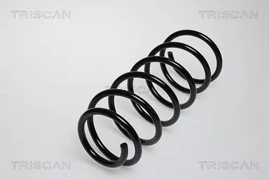 MUELLE DE SUSPENSIÓN