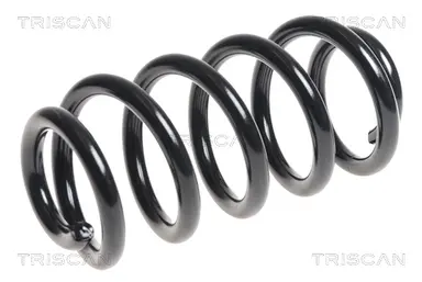 MUELLE DE SUSPENSIÓN