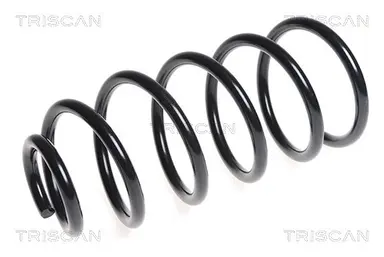 MUELLE DE SUSPENSIÓN