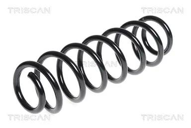 MUELLE DE SUSPENSIÓN