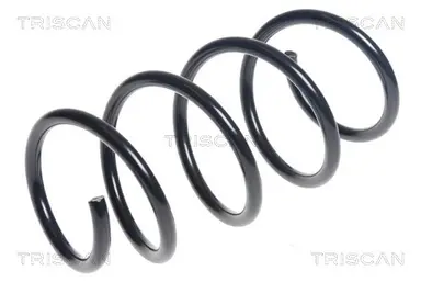 MUELLE DE SUSPENSIÓN