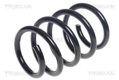 MUELLE DE SUSPENSIÓN