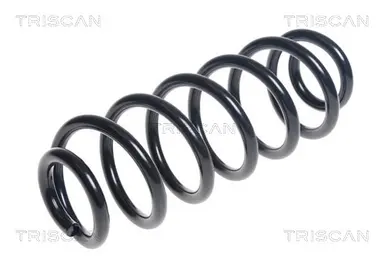 MUELLE DE SUSPENSIÓN