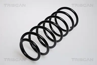 MUELLE DE SUSPENSIÓN