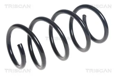 MUELLE DE SUSPENSIÓN