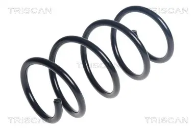 MUELLE DE SUSPENSIÓN