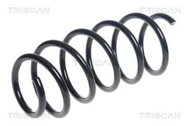 MUELLE DE SUSPENSIÓN