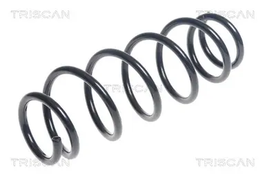 MUELLE DE SUSPENSIÓN