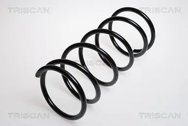 MUELLE DE SUSPENSIÓN