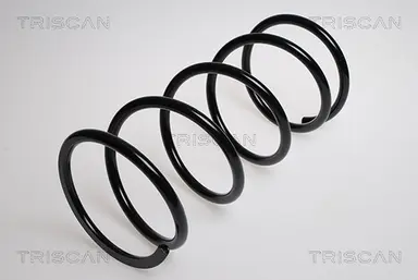 MUELLE DE SUSPENSIÓN