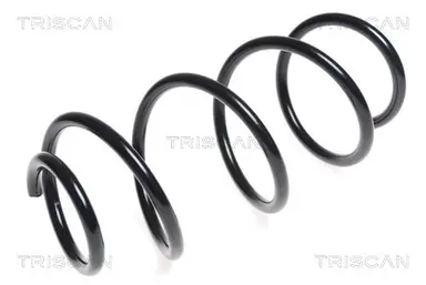 MUELLE DE SUSPENSIÓN