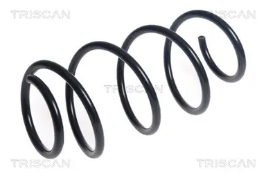 MUELLE DE SUSPENSIÓN