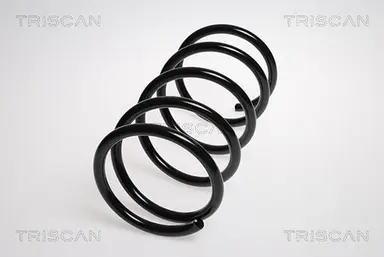 MUELLE DE SUSPENSIÓN