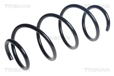 MUELLE DE SUSPENSIÓN