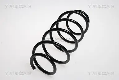 MUELLE DE SUSPENSIÓN