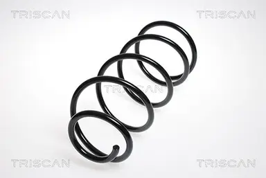 MUELLE DE SUSPENSIÓN