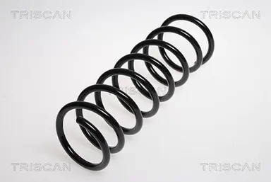 MUELLE DE SUSPENSIÓN