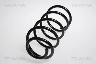 MUELLE DE SUSPENSIÓN