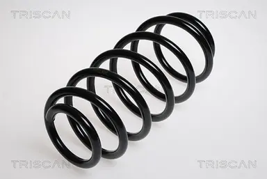 MUELLE DE SUSPENSIÓN