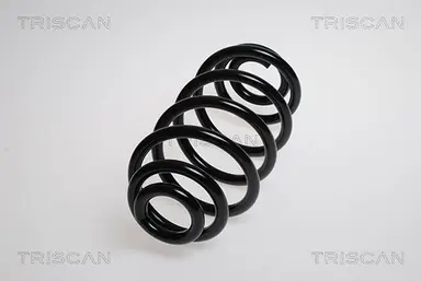 MUELLE DE SUSPENSIÓN