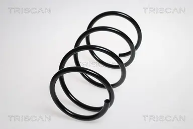 MUELLE DE SUSPENSIÓN