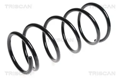 MUELLE DE SUSPENSIÓN