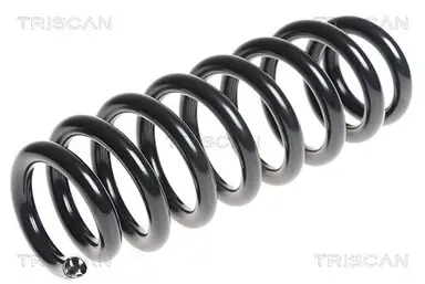 MUELLE DE SUSPENSIÓN